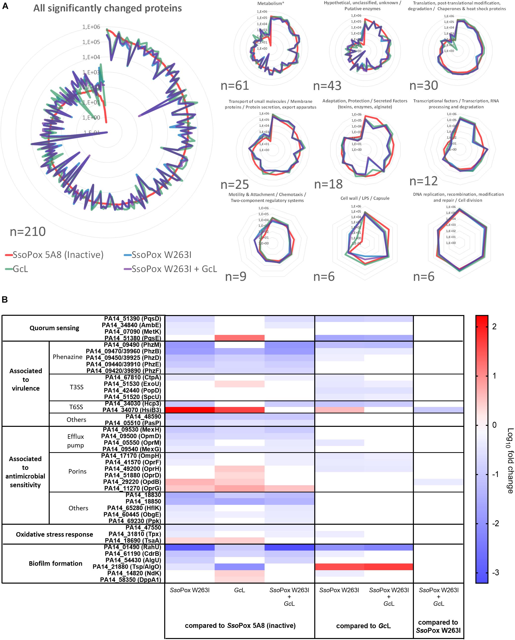 Frontiers Lactonase Specificity Is Key To Quorum Quenching In Pseudomonas Aeruginosa Microbiology