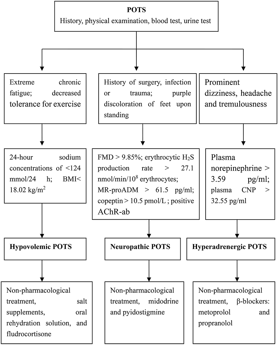 Postural Orthostatic Tachycardia Syndrome Subtypes and Associated Disorders