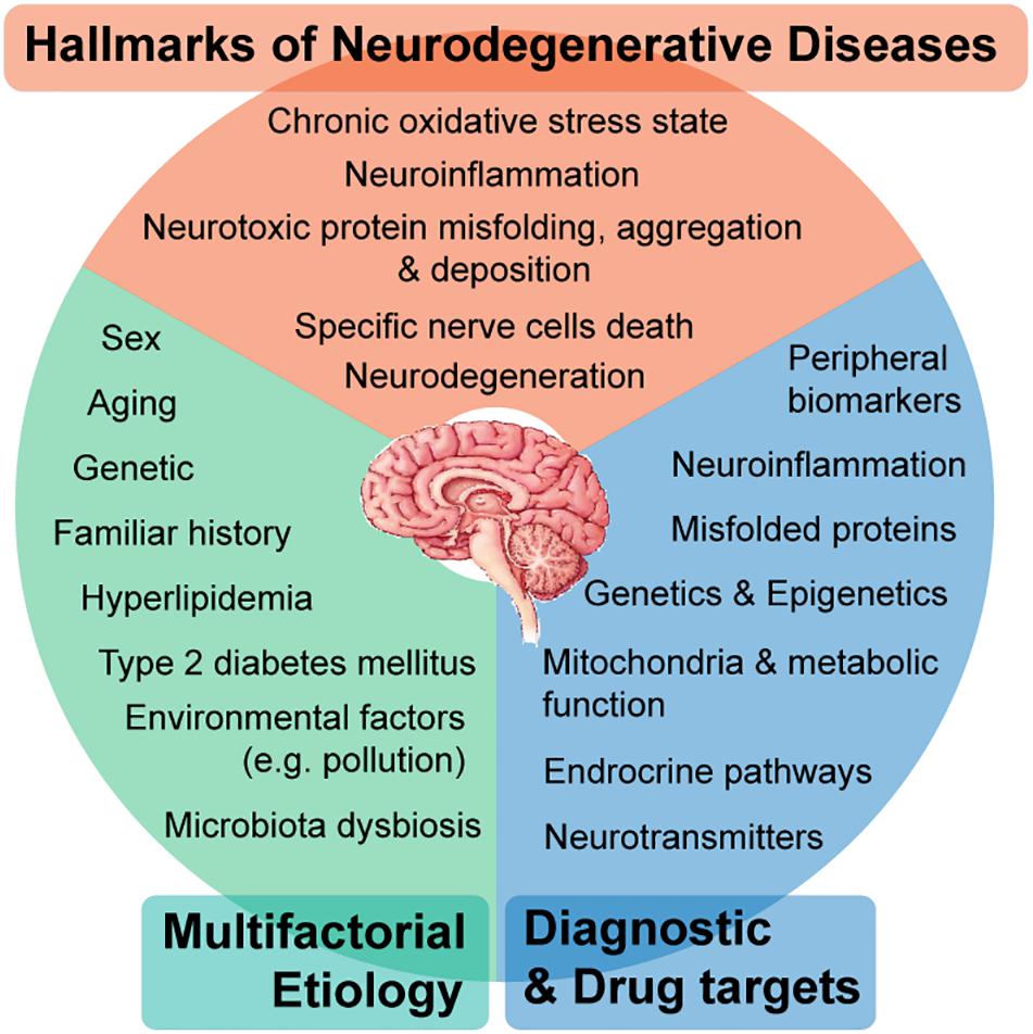 Frontiers Systems Biology Approaches to Understand the Host–Microbiome Interactions in Neurodegenerative Diseases image