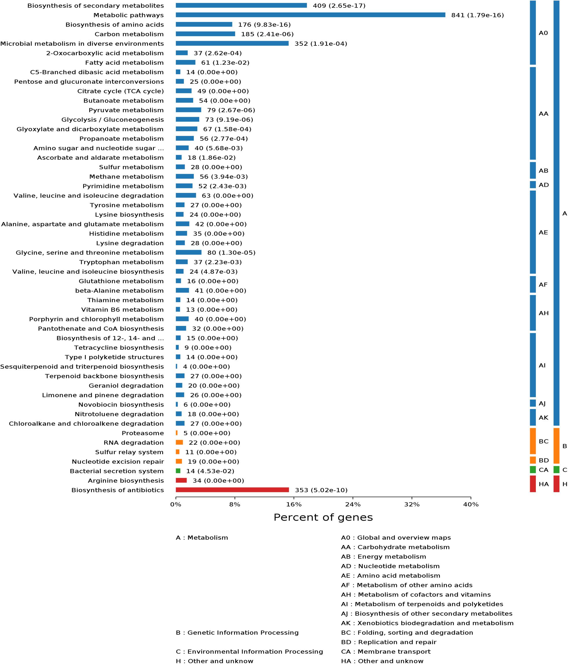 Frontiers | Deciphering the Metabolic Pathway Difference