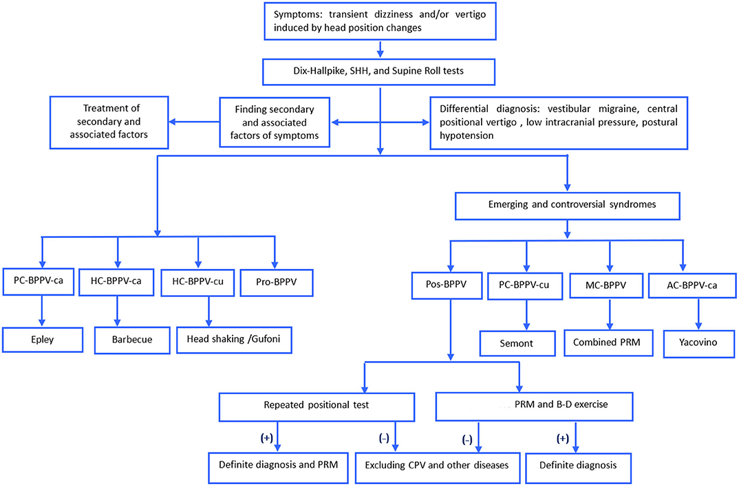 Frontiers  Clinical Characteristics of Patients With Benign Paroxysmal  Positional Vertigo Diagnosed Based on the Diagnostic Criteria of the Bárány  Society