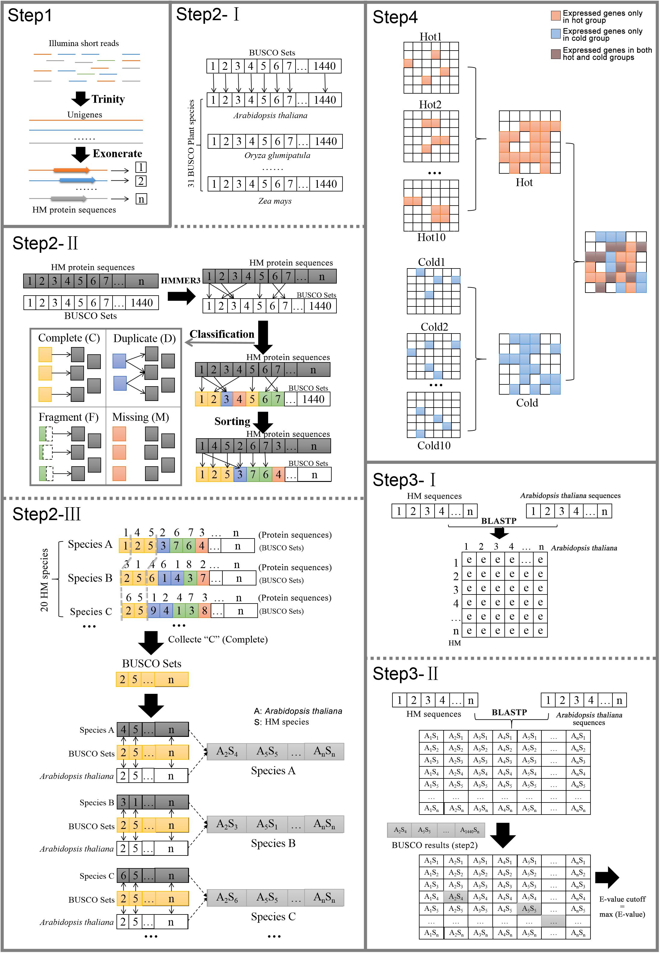 Frontiers | Cross-Species Annotation of Expressed Genes and Detection ...