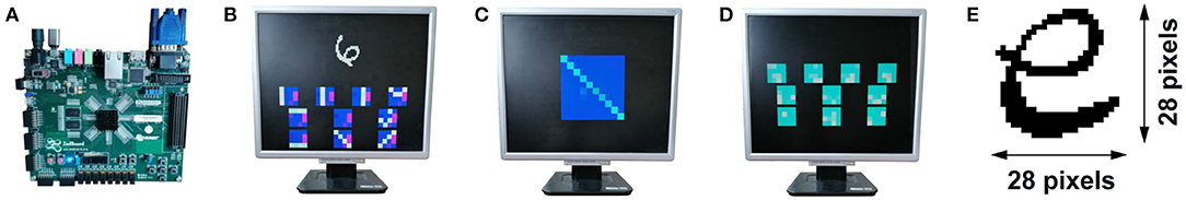 www.frontiersin.org
