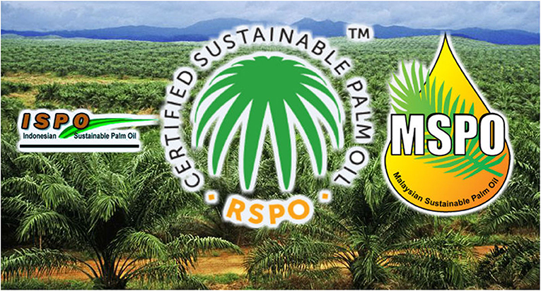 איור 3 - במרכז, אתם יכולים לראות את הלוגו של RSPO שמציין שמן דקלים בר-קיימא.