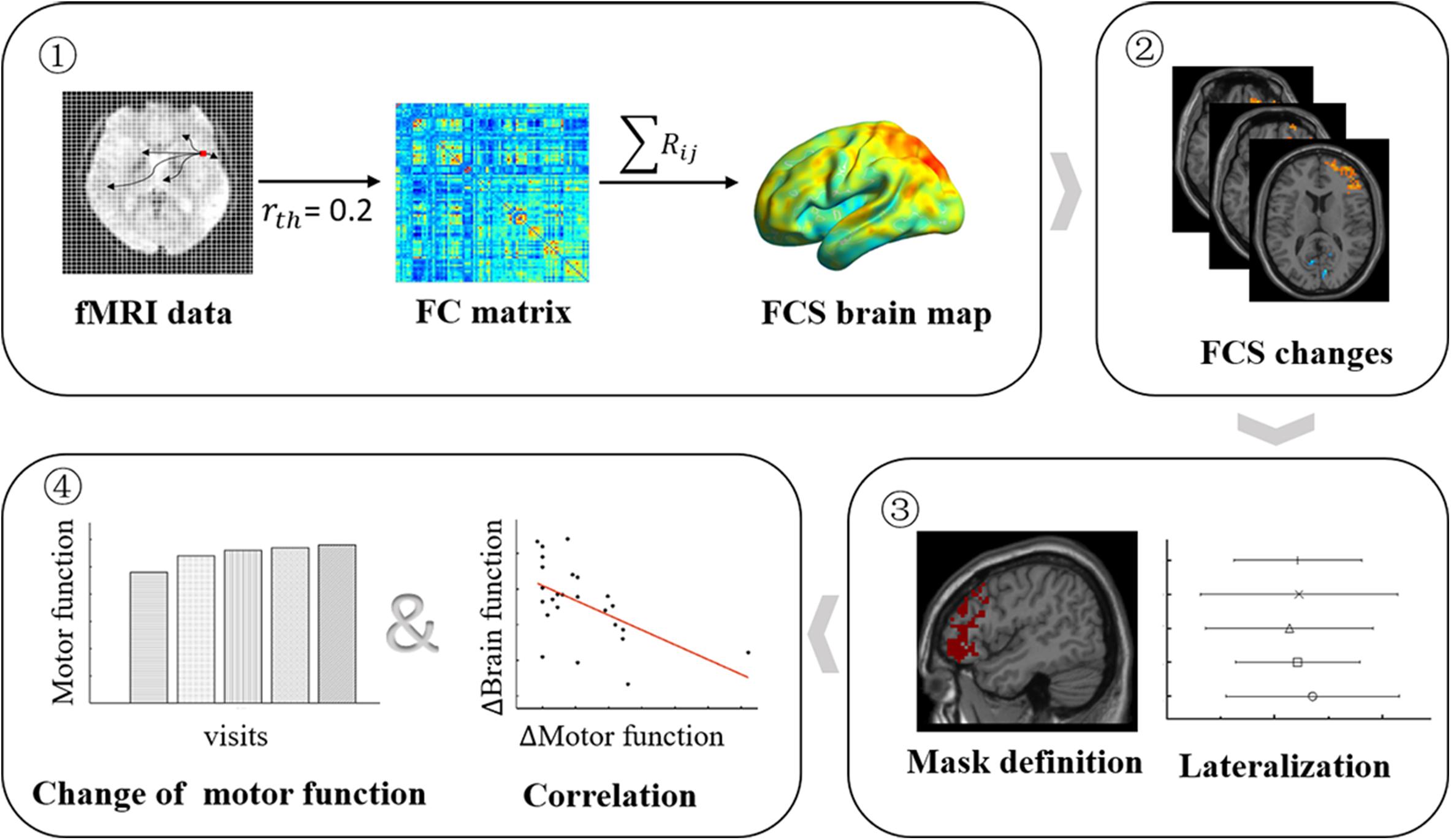 Frontiers Dynamic Neural Network Changes Revealed by Voxel-Based Functional Connectivity Strength in Left Basal Ganglia Ischemic Stroke