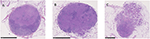 www.frontiersin.org