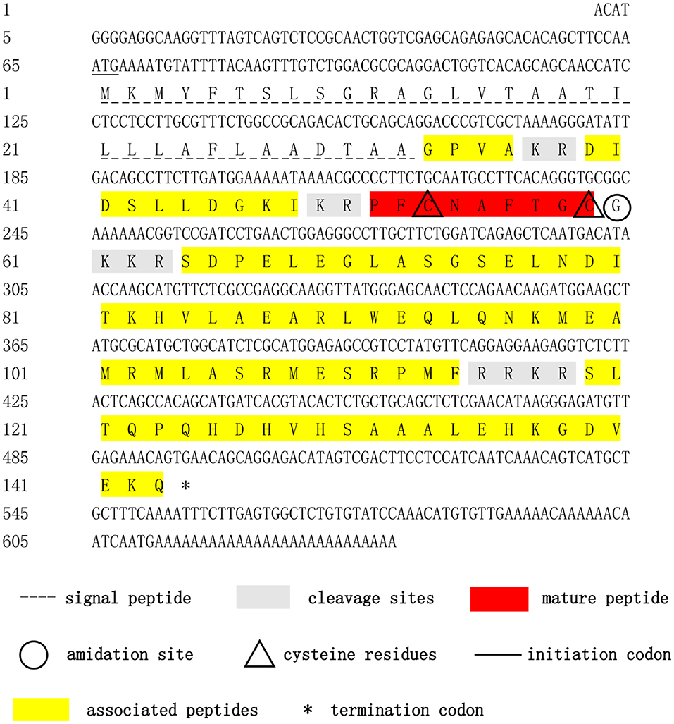 Frontiers A Possible Role Of Crustacean Cardioactive Peptide In Regulating Immune Response In Hepatopancreas Of Mud Crab Immunology