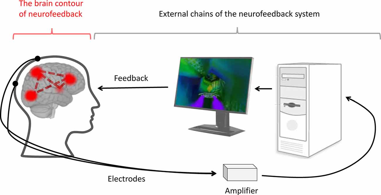 Neurofeedback concept