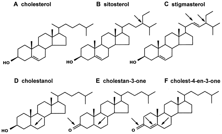 How Google Uses steroids To Grow Bigger