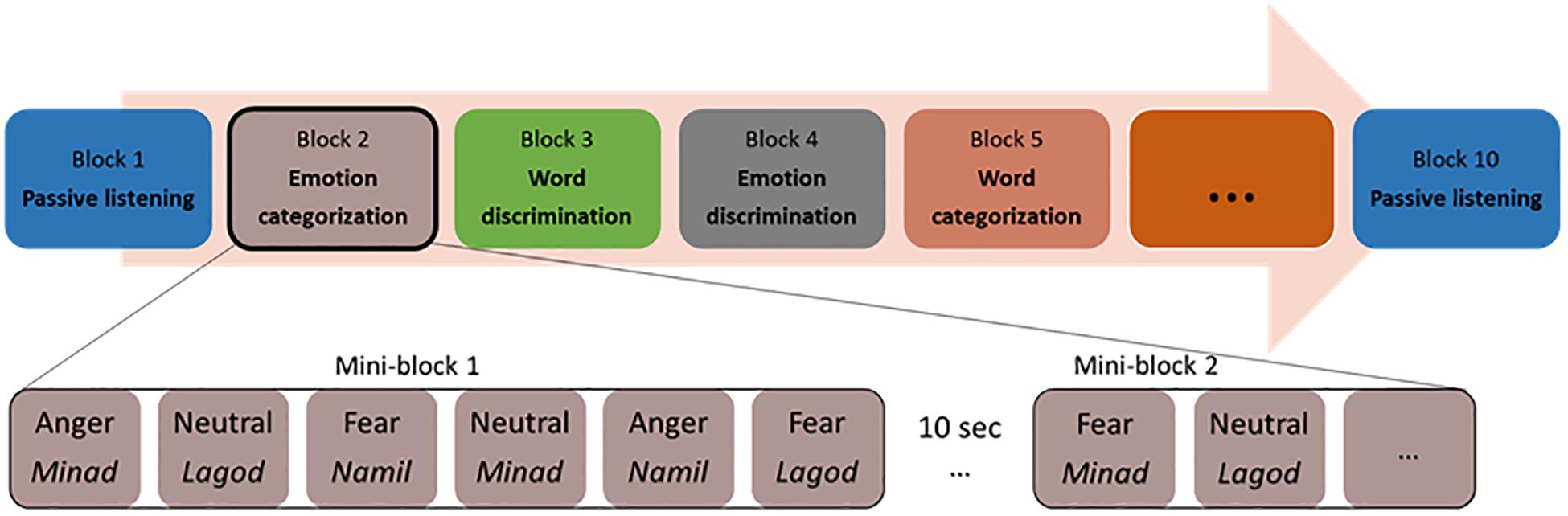 Frontiers Human Discrimination And Categorization Of Emotions In Voices A Functional Near Infrared Spectroscopy Fnirs Study Neuroscience