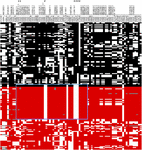 www.frontiersin.org