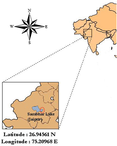 www.frontiersin.org