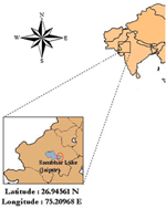 www.frontiersin.org