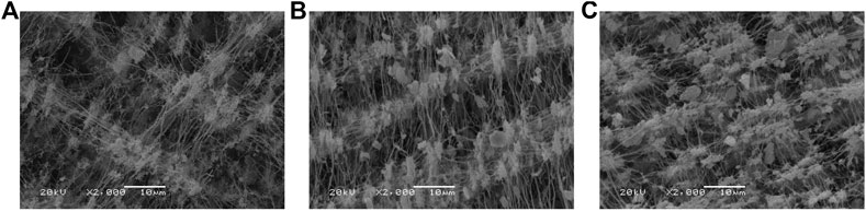 Frontiers | Physicochemical Impacts of Dust Storms on Aerosol and ...