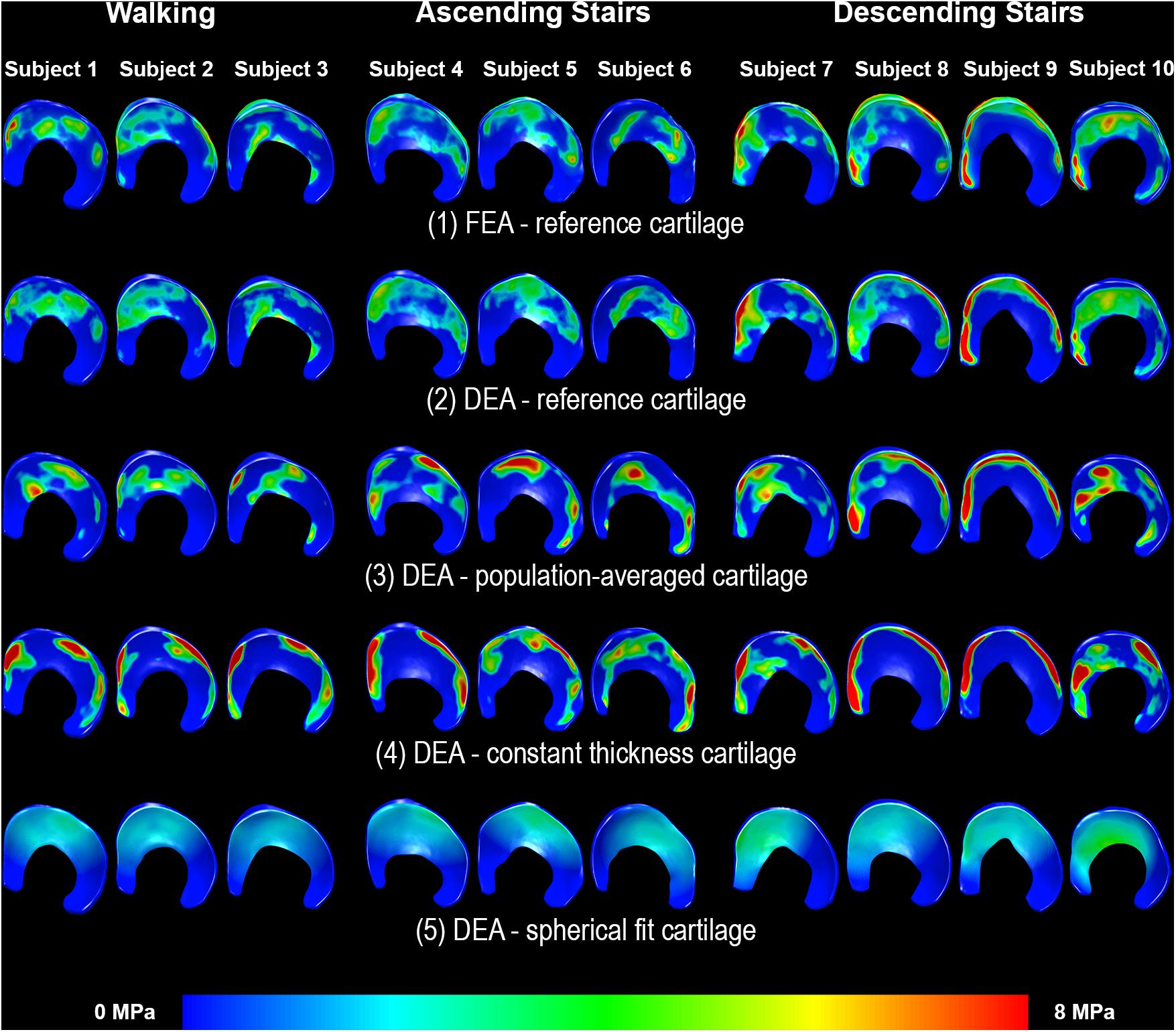 Medical Science Monitor  Biomechanical Behavior of All-on-4 and M-4  Configurations in an Atrophic Maxilla: A 3D Finite Element Method - Article  abstract #929908