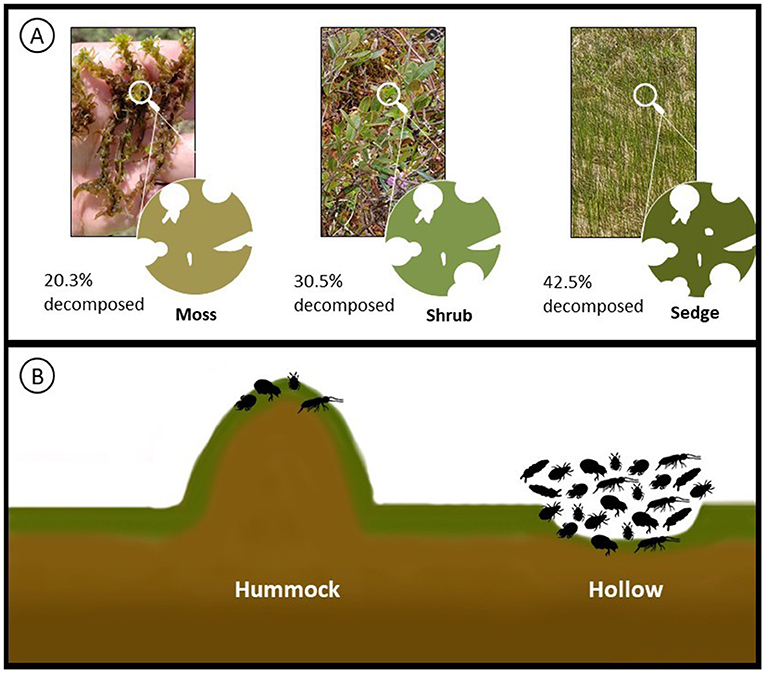Decomposition Decomposition