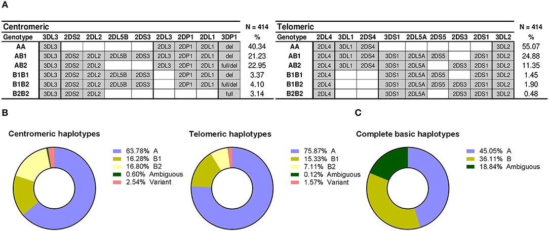 Frontiers Haplotype Based Analysis Of Kir Gene Profiles In A South European Population Distribution Of Standard And Variant Haplotypes And Identification Of Novel Recombinant Structures Immunology