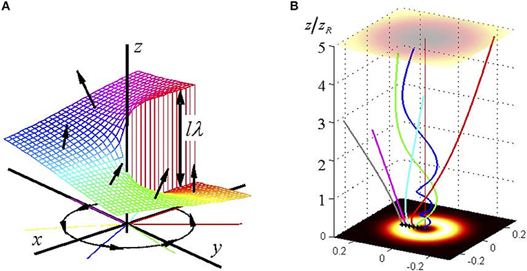 SurfaceLight Extent of Light Transmission - Building Support