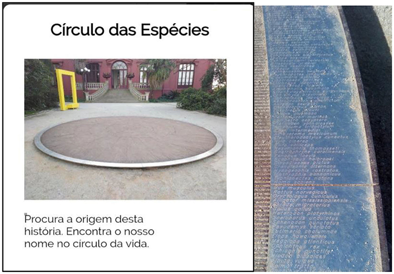 www.frontiersin.org