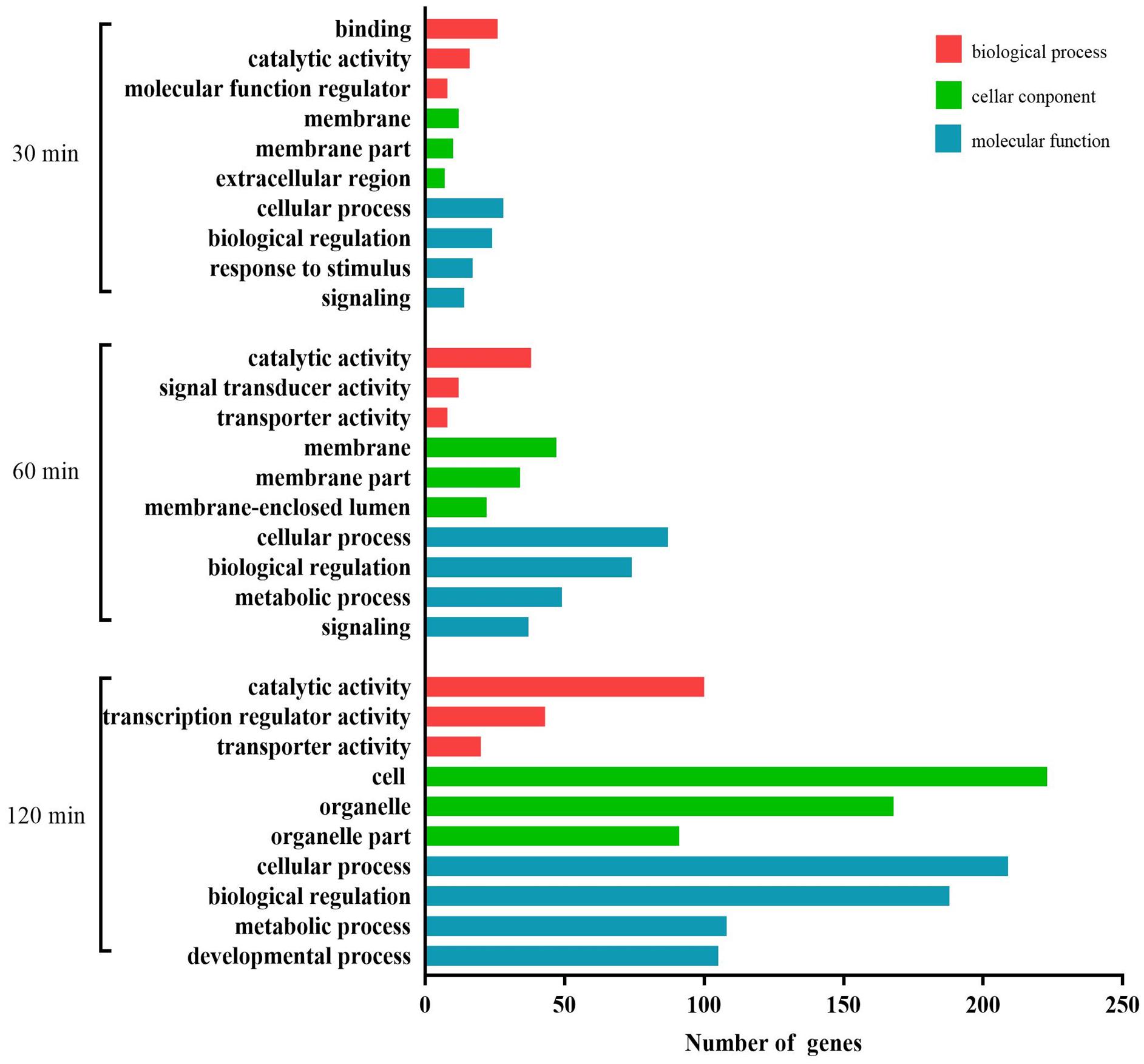 Frontiers | Interactions Among Expressed MicroRNAs and mRNAs in the