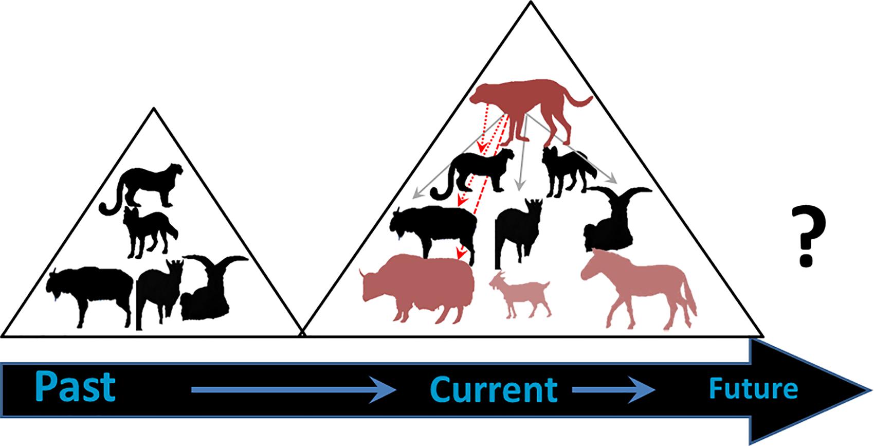 FOOD WEB Dice Roll Game for Events Causing Changes in Population-  Biodiversity