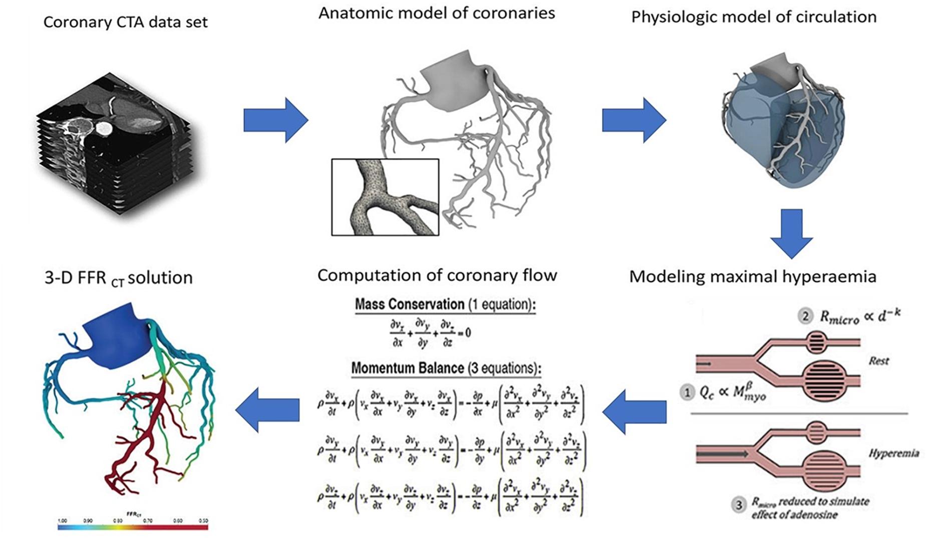 KIT - About Us - Team - Researchers - Modeling, Simulation and Optimization  of the Contraction of the Human Heart