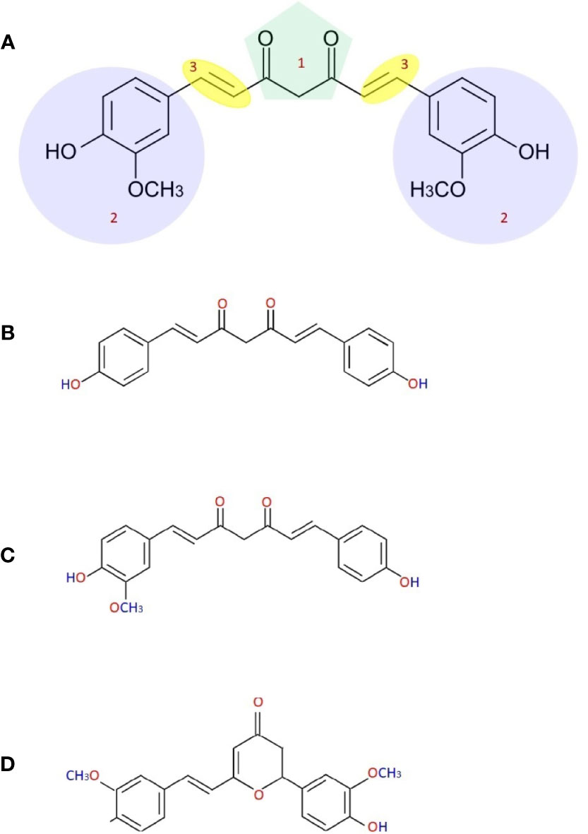 Frontiers | Nanocurcumin: A Promising Candidate for Therapeutic ...