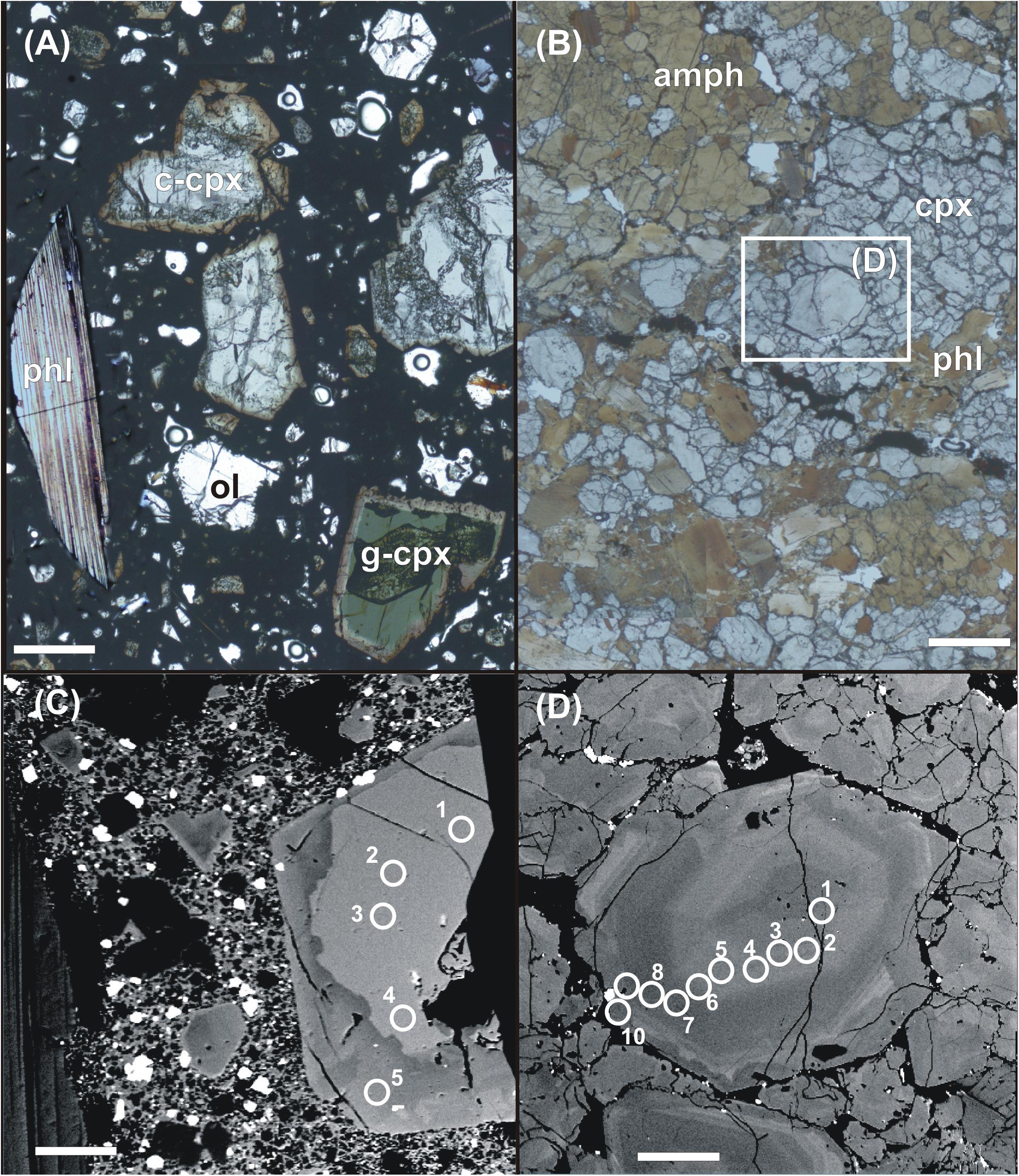 Alkali amphibole: Mineral information, data and localities.