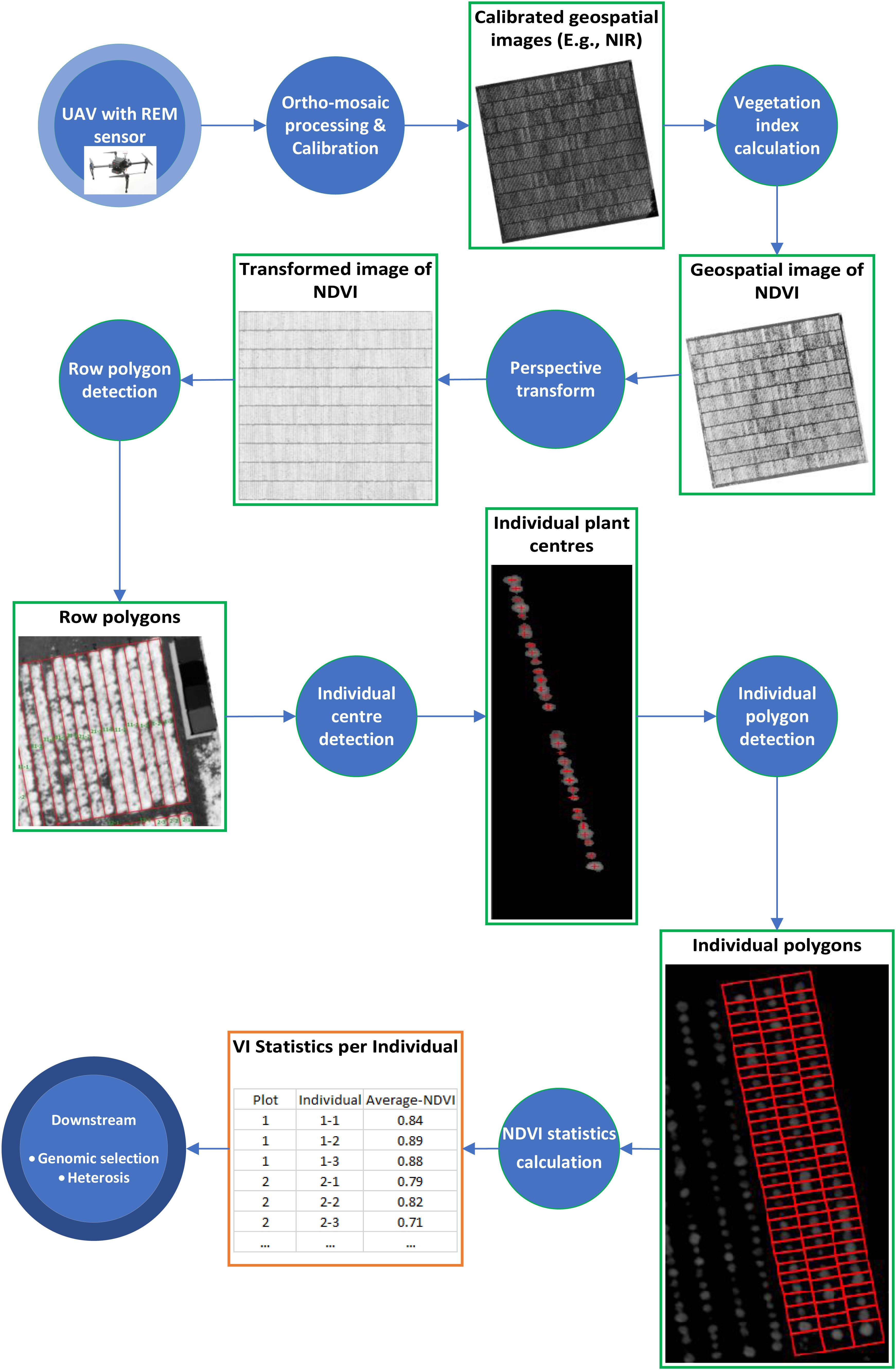 Relationship between selection and IRG (a), NDVI (b), shrub cover (c)