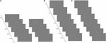 www.frontiersin.org