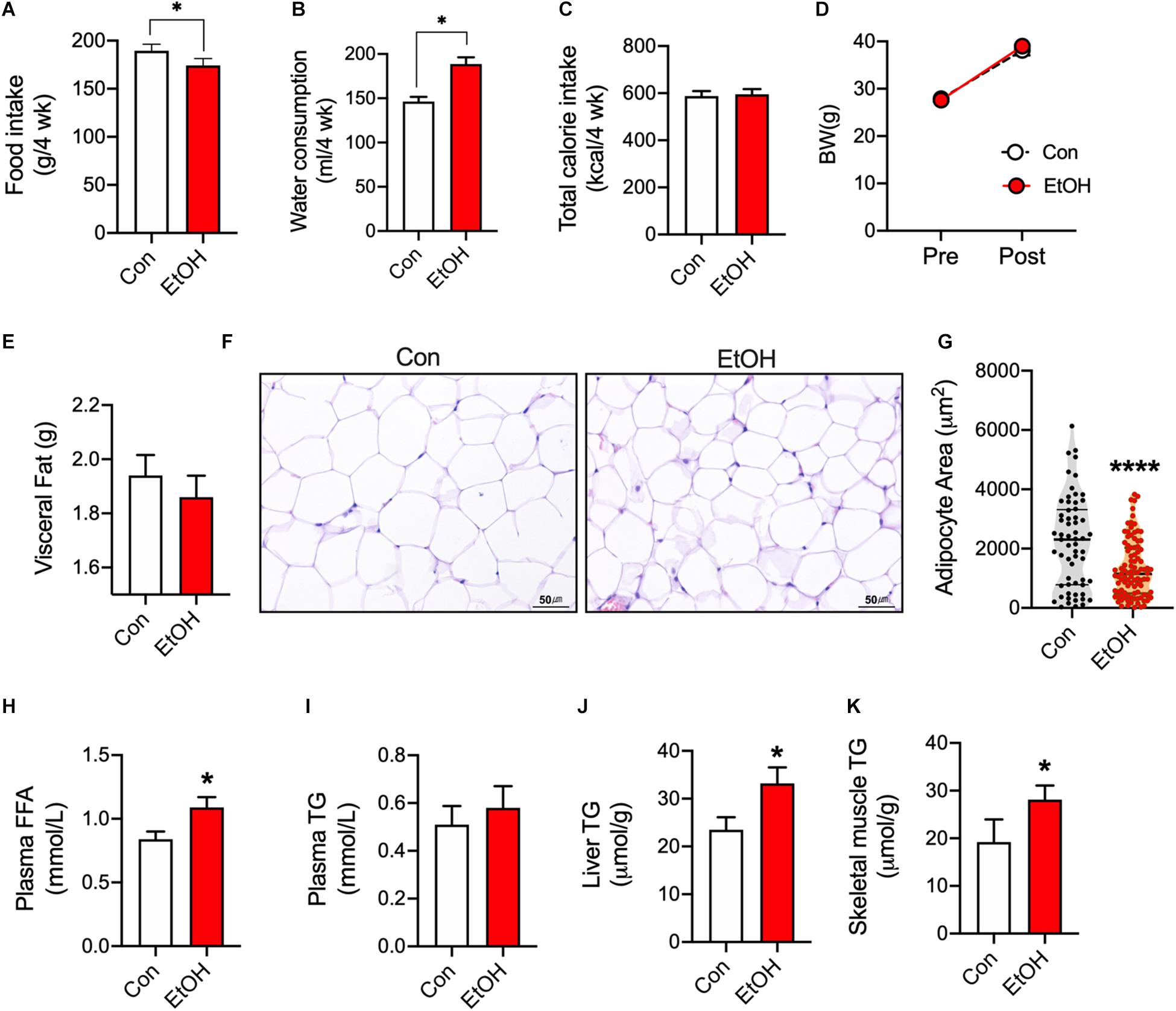 Frontiers PPARδ Attenuates Alcohol-Mediated Insulin Resistance by Enhancing Fatty Acid-Induced Mitochondrial Uncoupling and Antioxidant Defense in Skeletal Muscle