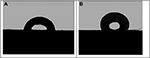 www.frontiersin.org