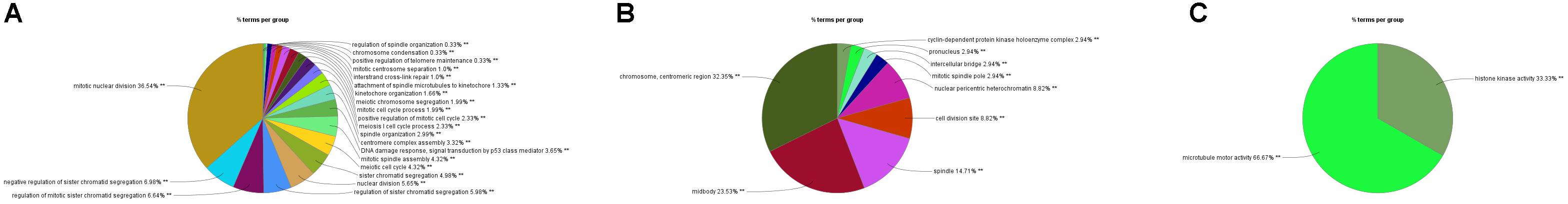 www.frontiersin.org