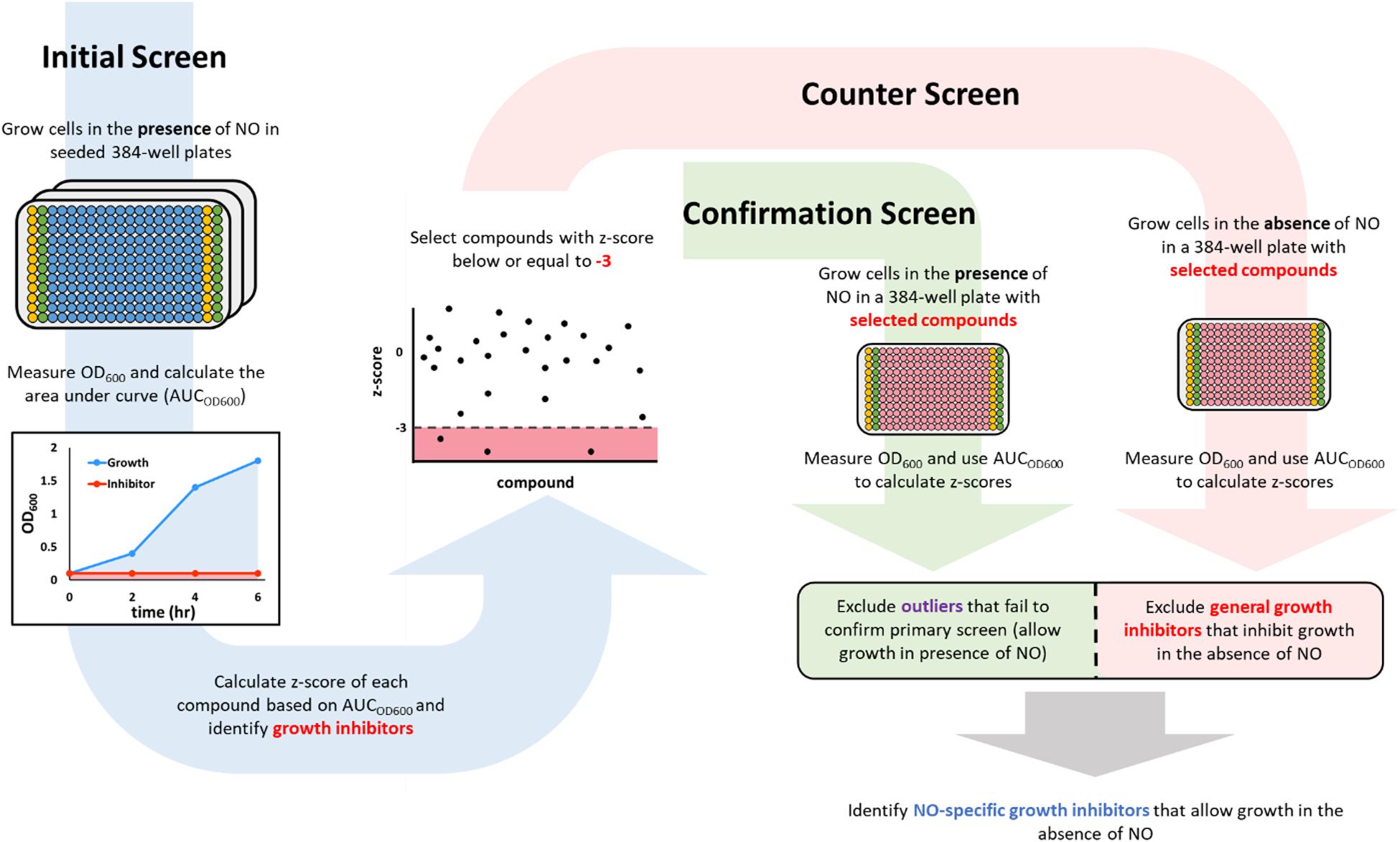 Frontiers Synergy Screening Identifies A Compound That Selectively Enhances The Antibacterial Activity Of Nitric Oxide Bioengineering And Biotechnology