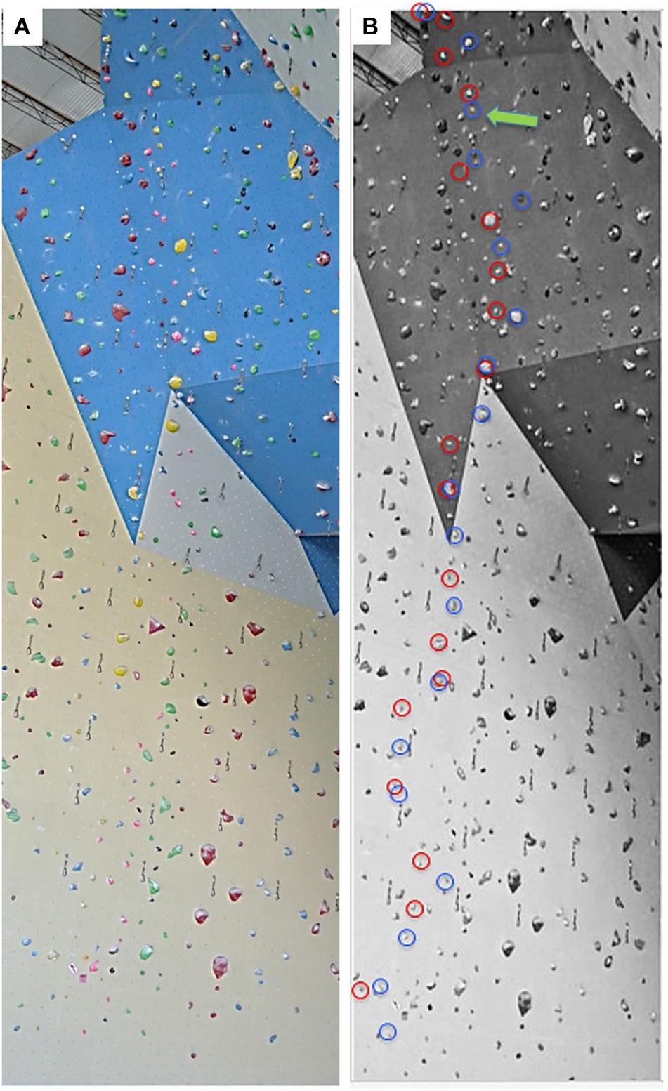 Skøn skinke gaben Frontiers | On-Sight and Red-Point Climbing: Changes in Performance and  Route-Finding Ability in Male Advanced Climbers
