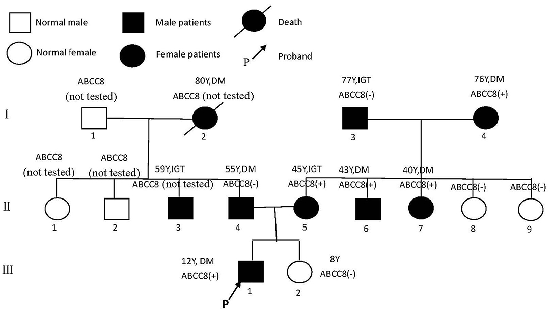 Frontiers  Case report: A 10-year prognosis of neonatal diabetes