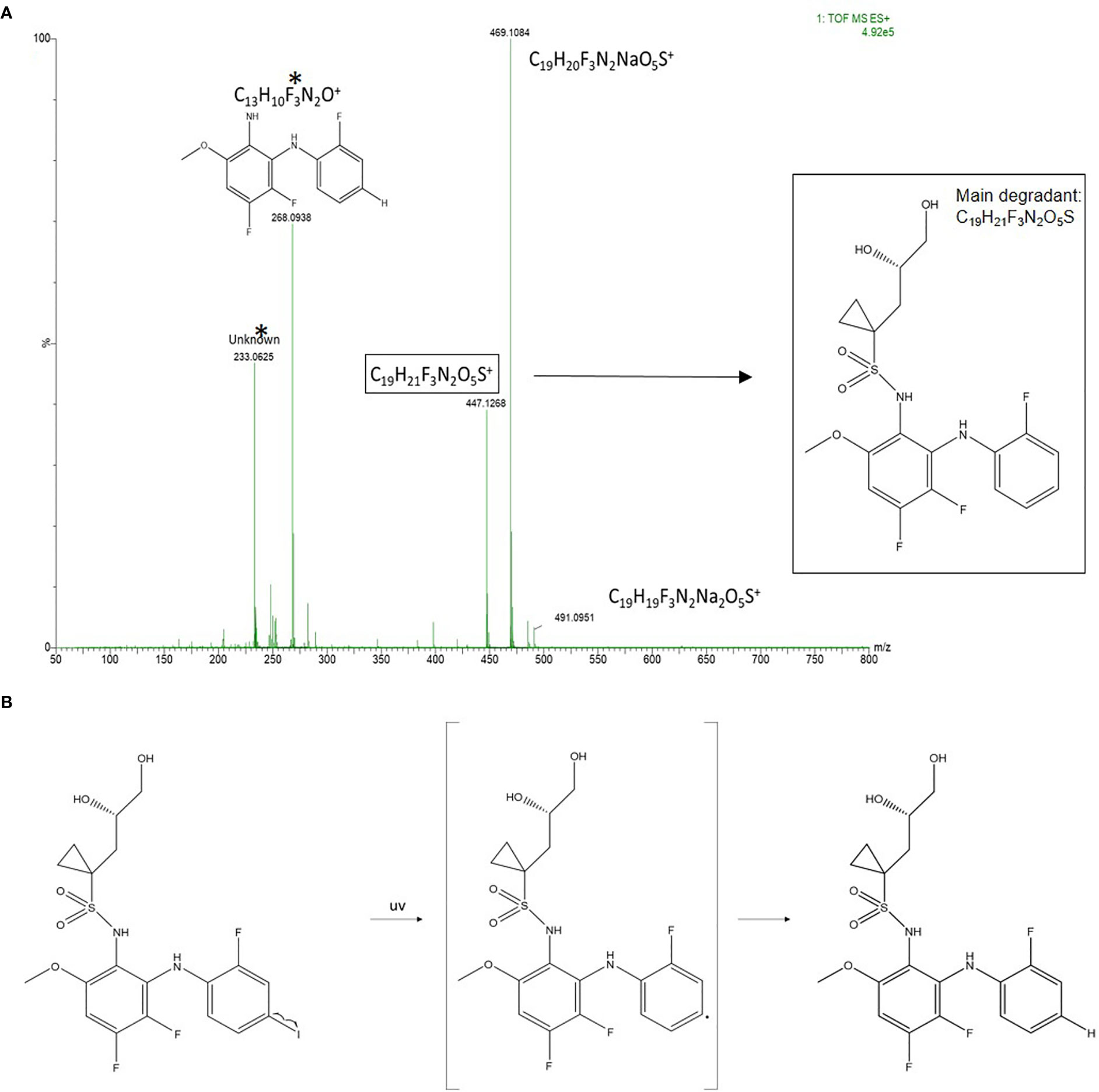 Frontiers | MEK1/2 Inhibition in Murine Heart and Aorta