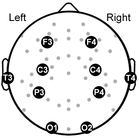 www.frontiersin.org