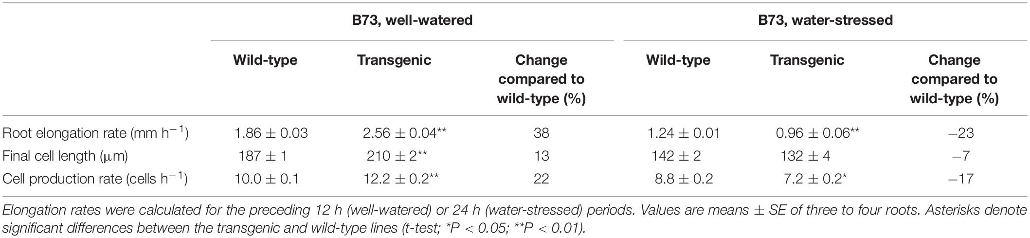 Apoplastic Hydrogen Peroxide 