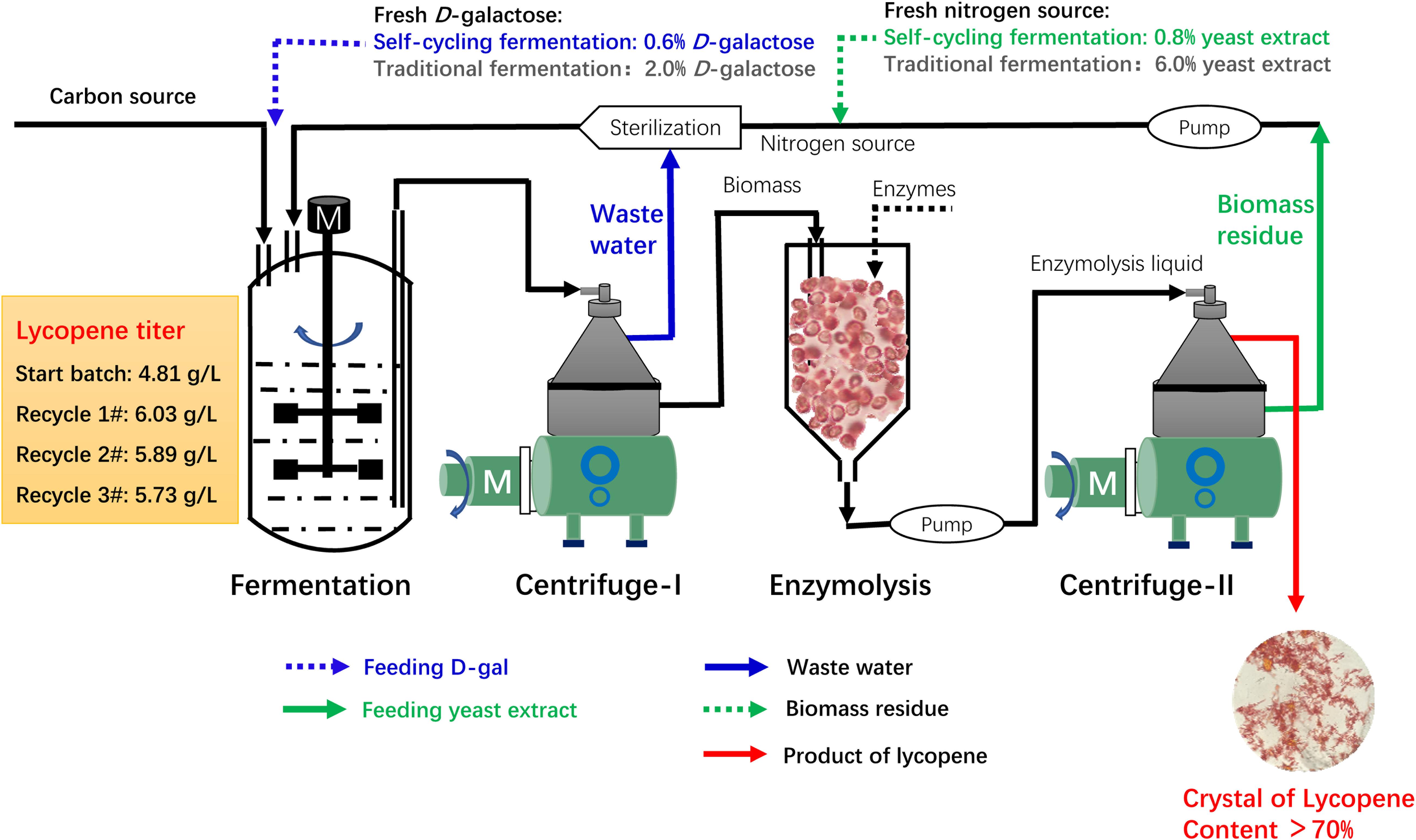 Effizienz der Fermentation