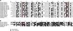 www.frontiersin.org