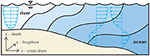 www.frontiersin.org