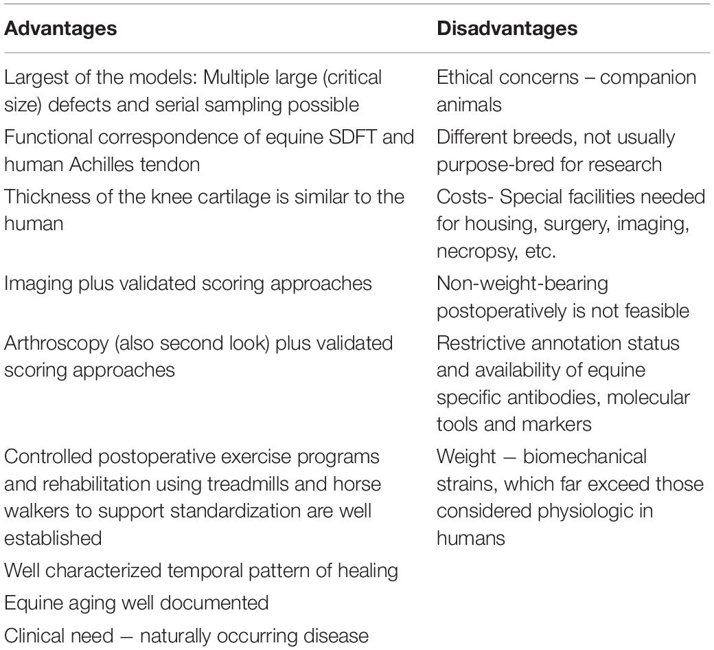 animal experiments advantages and disadvantages essay