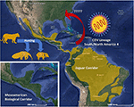 www.frontiersin.org
