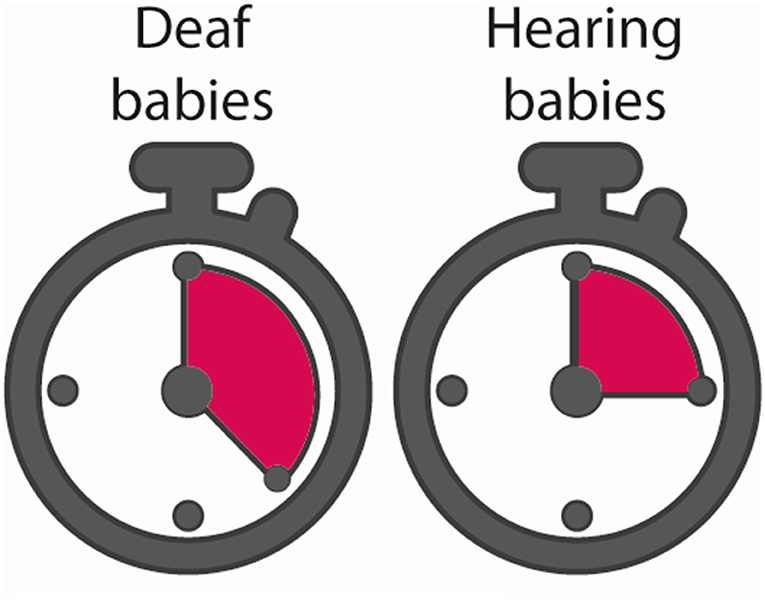 Figure 2 - The two stopwatches illustrate that, in our experiment, the deaf babies (left) took longer to lose interest in the objects pictured on the screen than the hearing babies did.