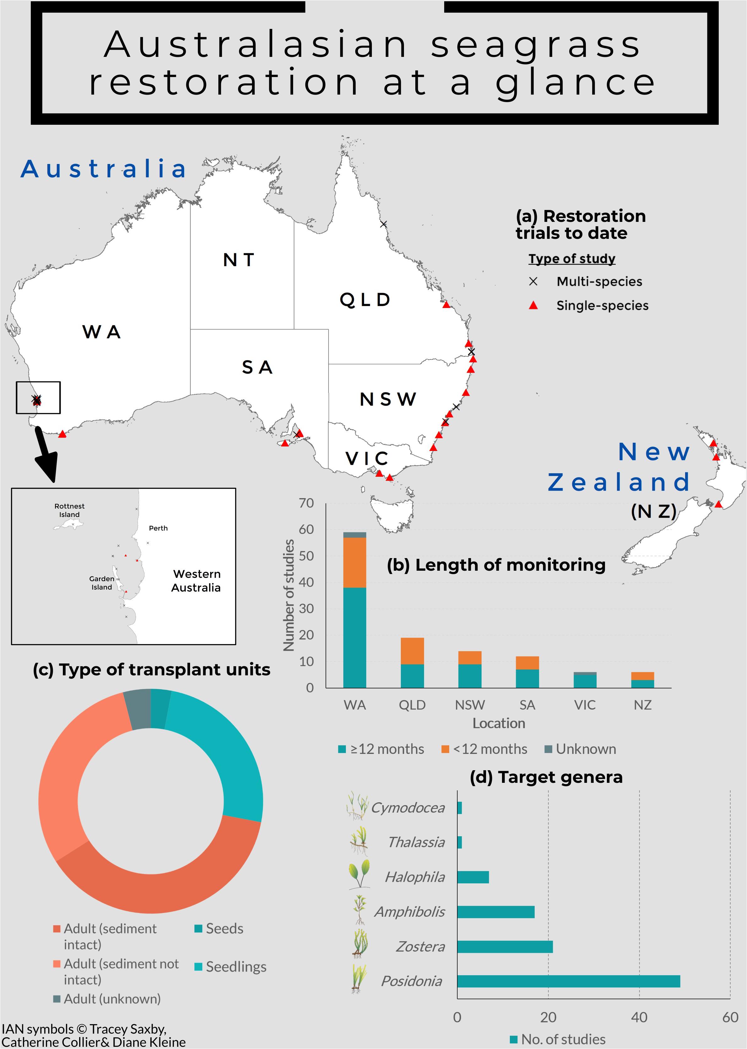 Frontiers  Seagrass Restoration Is Possible: Insights and Lessons