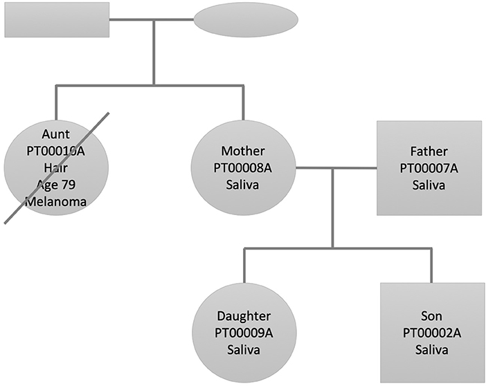 Frontiers Whole Genome Interpretation For A Family Of Five Genetics