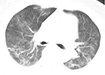 www.frontiersin.org