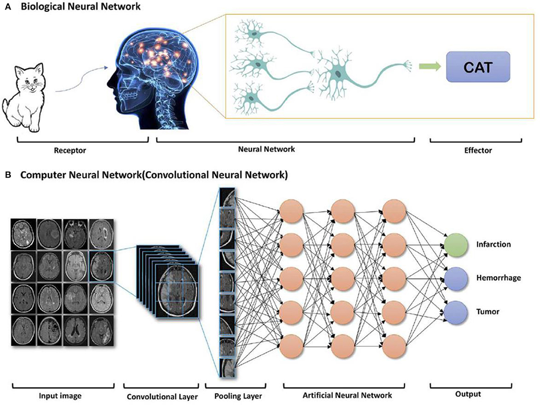 Нейросеть генерирует картинки. Нейронная сеть кошка. Нейросеть для генерации изображений. Нейросети pdf. Майкла Нильсена «Neural Networks and Deep Learning.