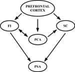 www.frontiersin.org